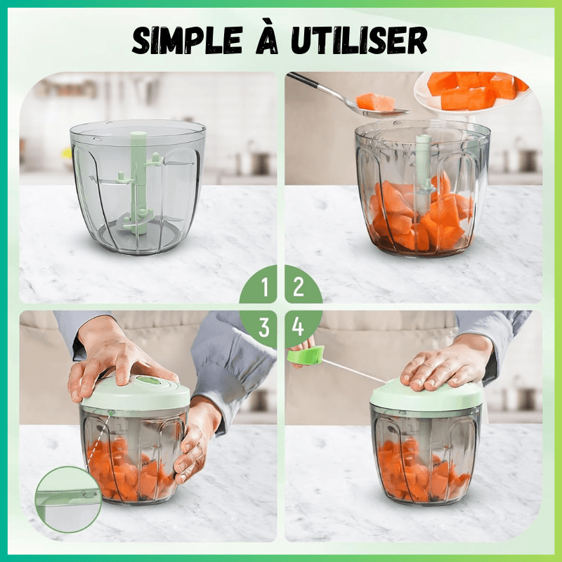 hachoir manuel mode d emploi