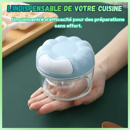 mini-hachoir-allie-indisponsable-votre-cuisine