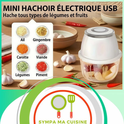 mini hachoir NutriChop hache tout type de legumes fruits 