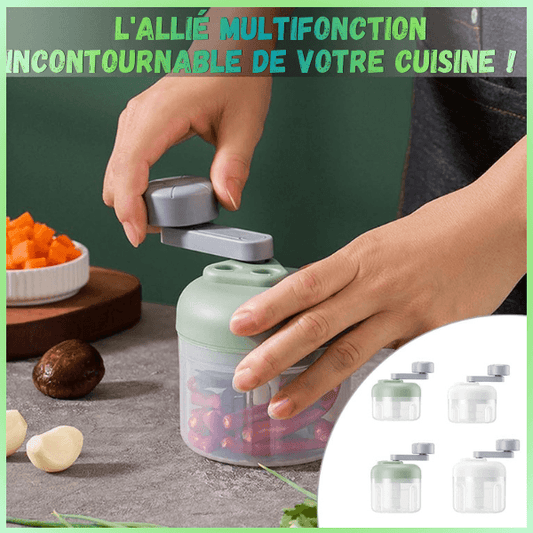 mini hachoir allie multifonction