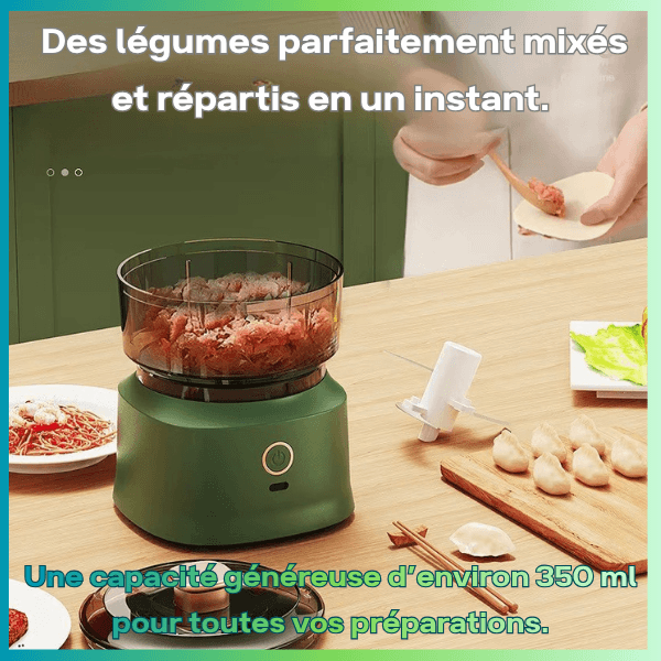 mini hachoir electrique grande capacite 350ml preparations