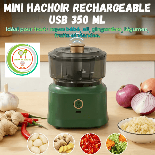 mini hachoir electrique rechargeable usb 350ml multi usage