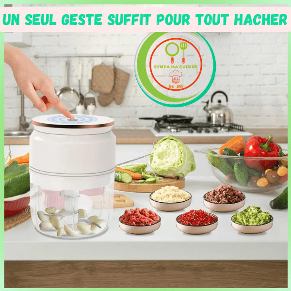 mini hachoir electrique un seul gest pour hacher 