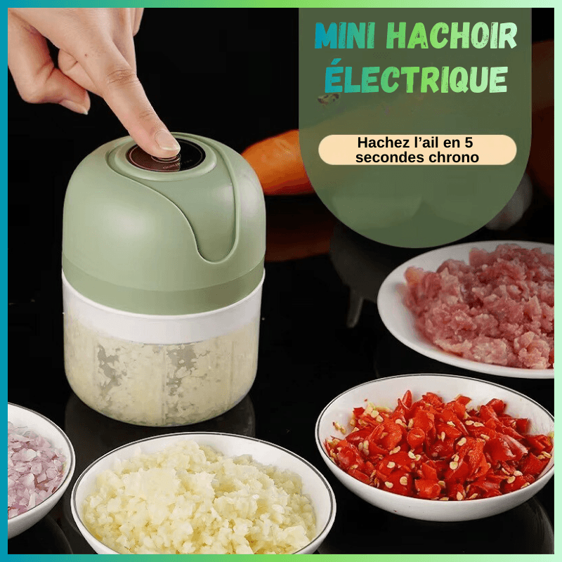 mini hachoir viande haches