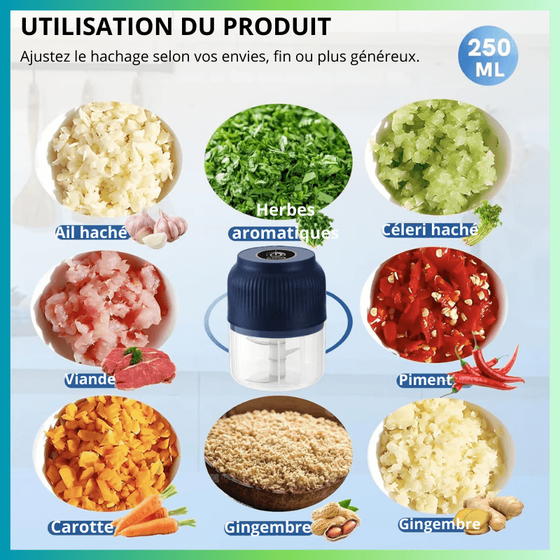 mini hachoir multiusages